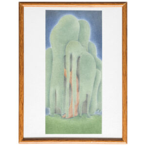Saule pleureur | Original drawing