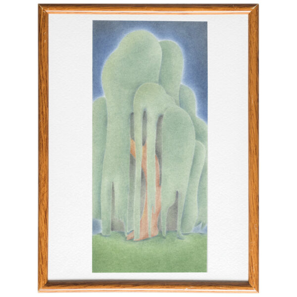 Saule pleureur | Original drawing