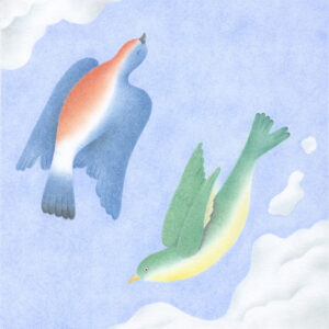 Augellin | Original drawing