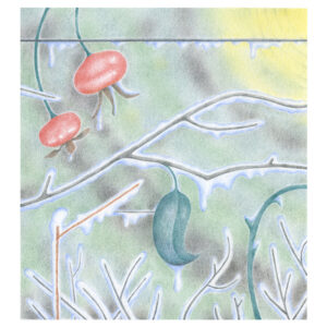 Rosier glacé | Original drawing